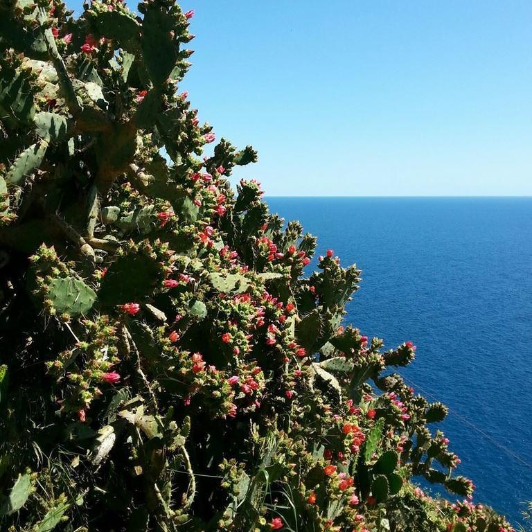 Hotel St. Leonard Forio di Ischia Екстериор снимка